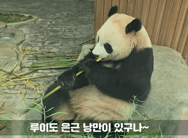 wxkaim.gif