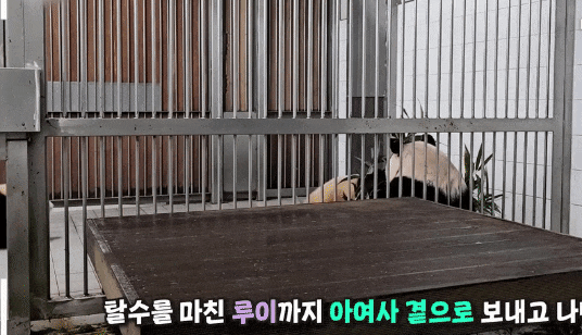 wzBCJL.gif