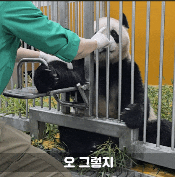 xPUVJe.gif