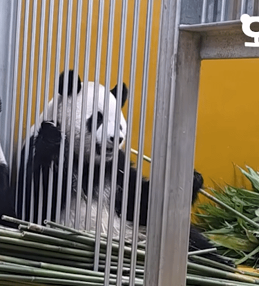 xUWaPP.gif