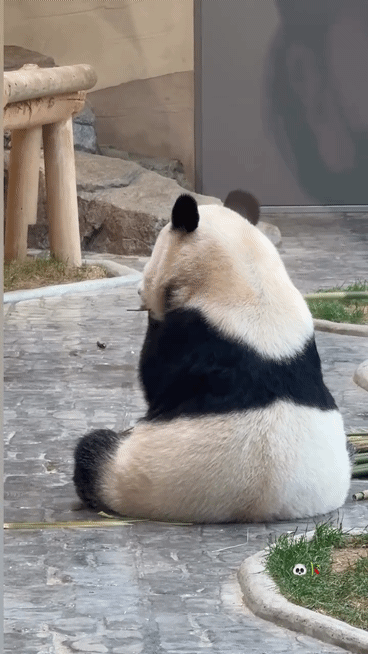 xVRDKz.gif