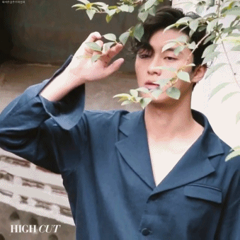 xZiWGM.gif