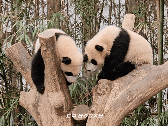 xcVqkF.gif