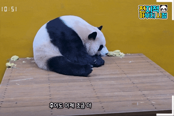 xgQkle.gif