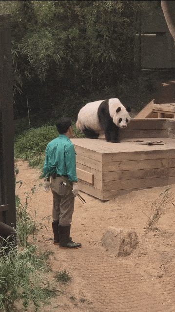 xhUhGc.gif