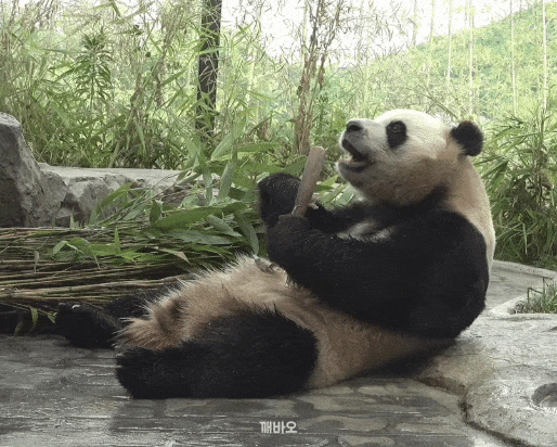 xhnHXS.gif