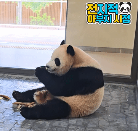 xisxcC.gif