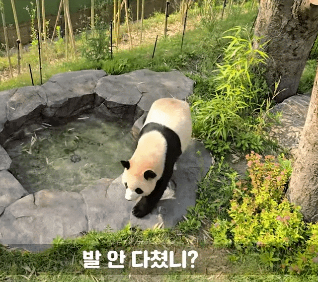 xpZnie.gif