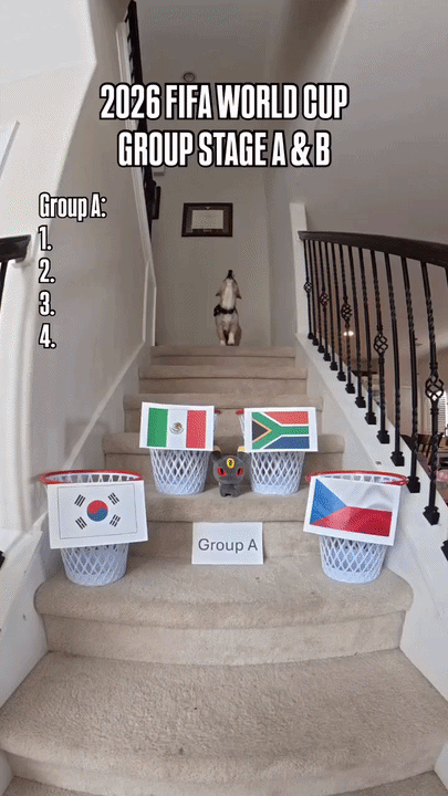 xwrStR.gif