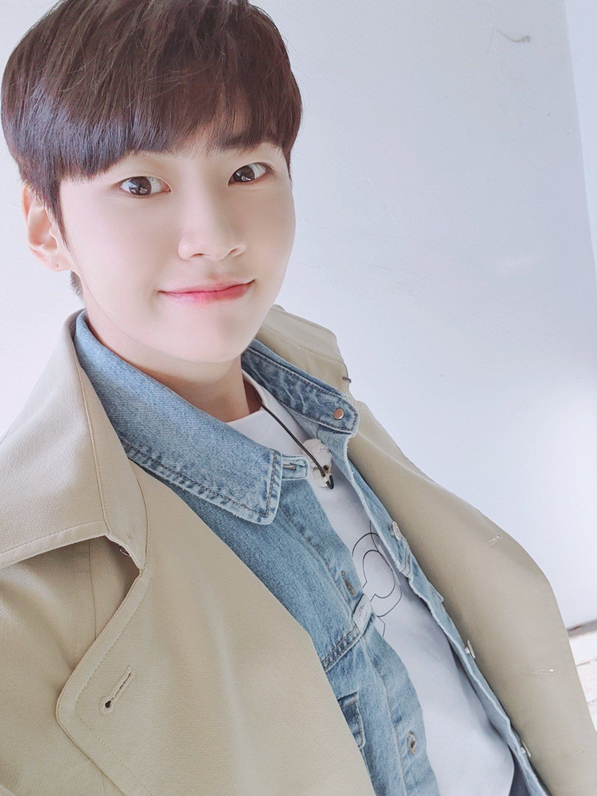 더쿠 이미지 보기