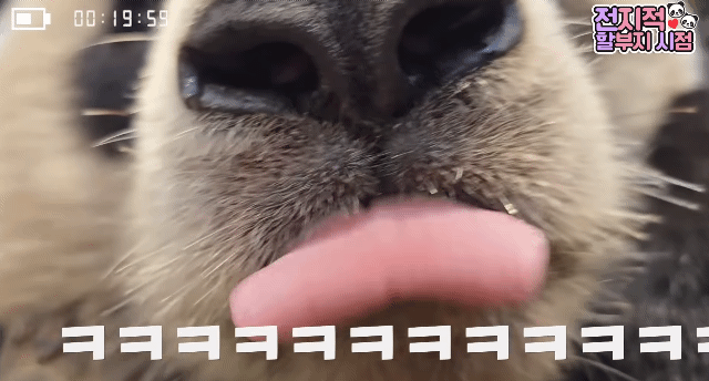 xyHyqW.gif