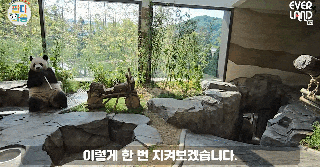 xzWBsr.gif