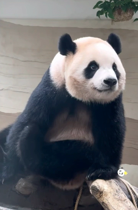 yKExqe.gif