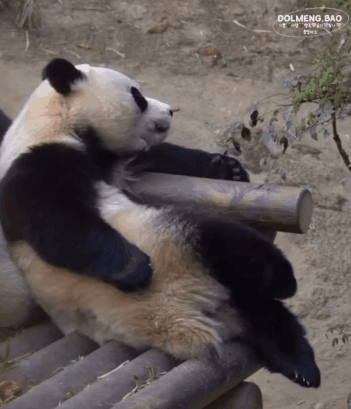 yNQYVN.gif