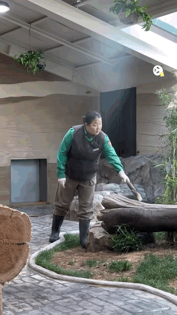yZizNh.gif
