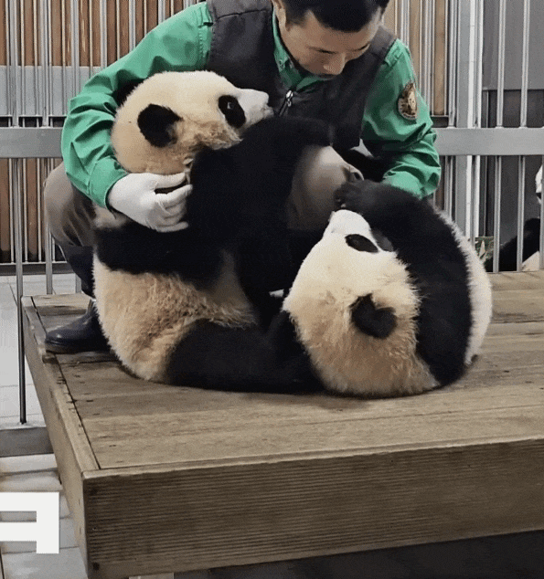yZkwuX.gif