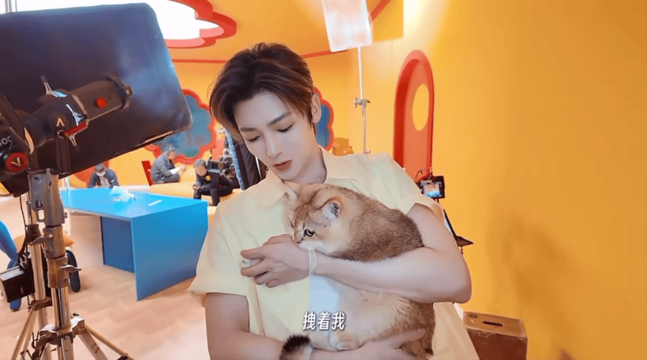 yqkTjV.gif