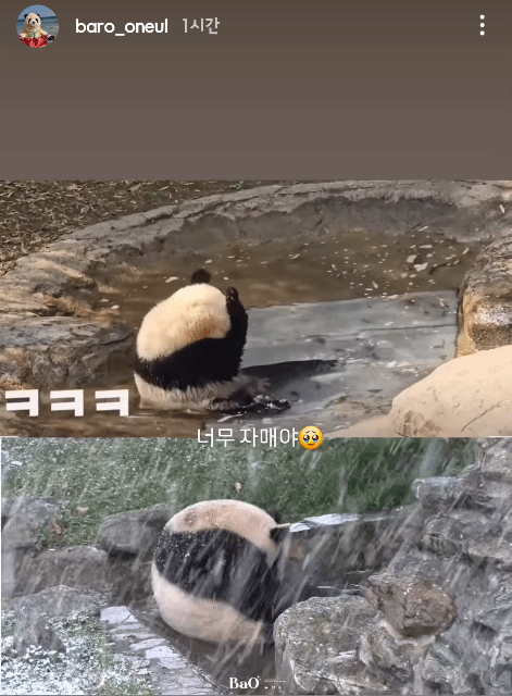 ytZjcV.gif