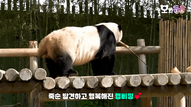 ywTuvu.gif