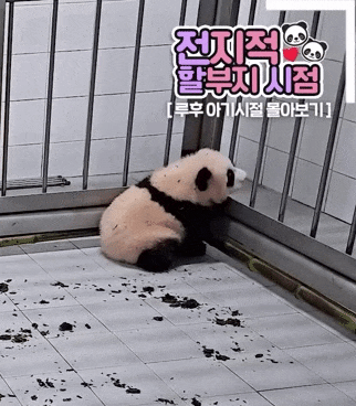 zHefOD.gif