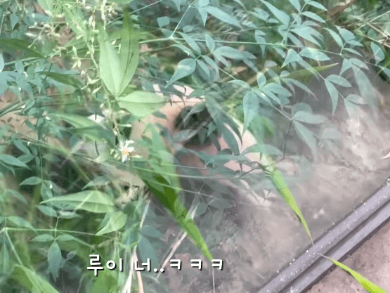 zNWqox.gif