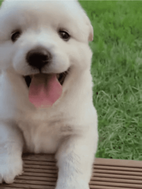 zcBQde.gif