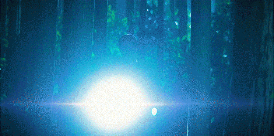 zgSiMl.gif