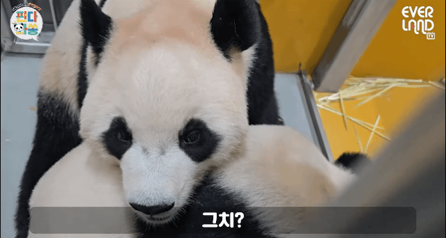 ziIaGe.gif