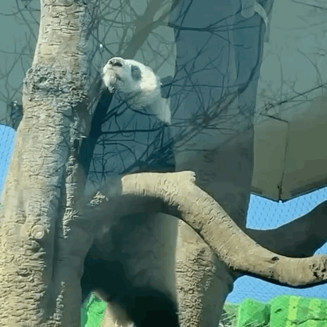 ziqgWA.gif