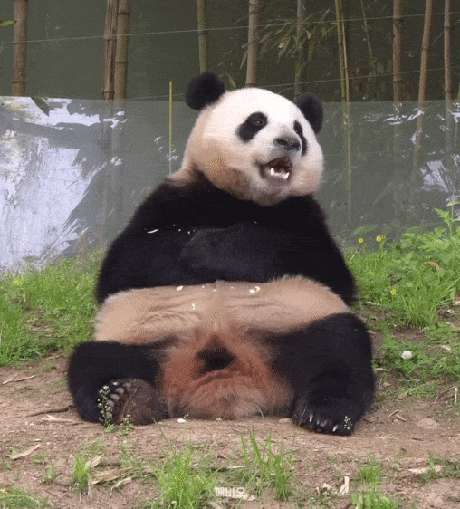 zpdcKi.gif