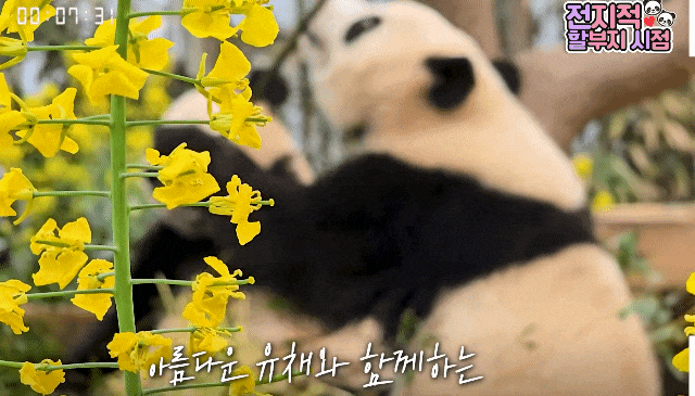 zuUBTN.gif